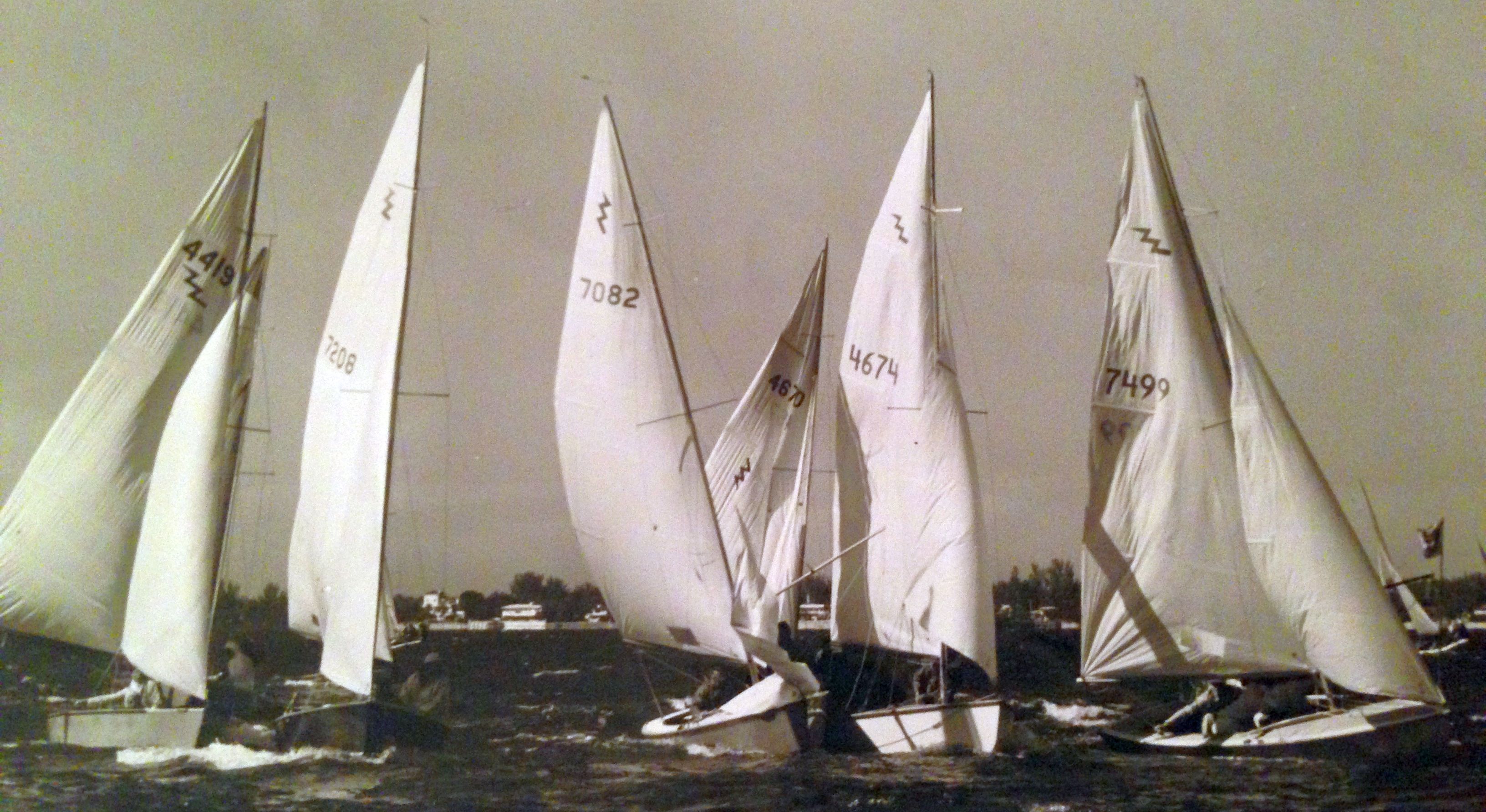 harbor island yacht club sailing camp